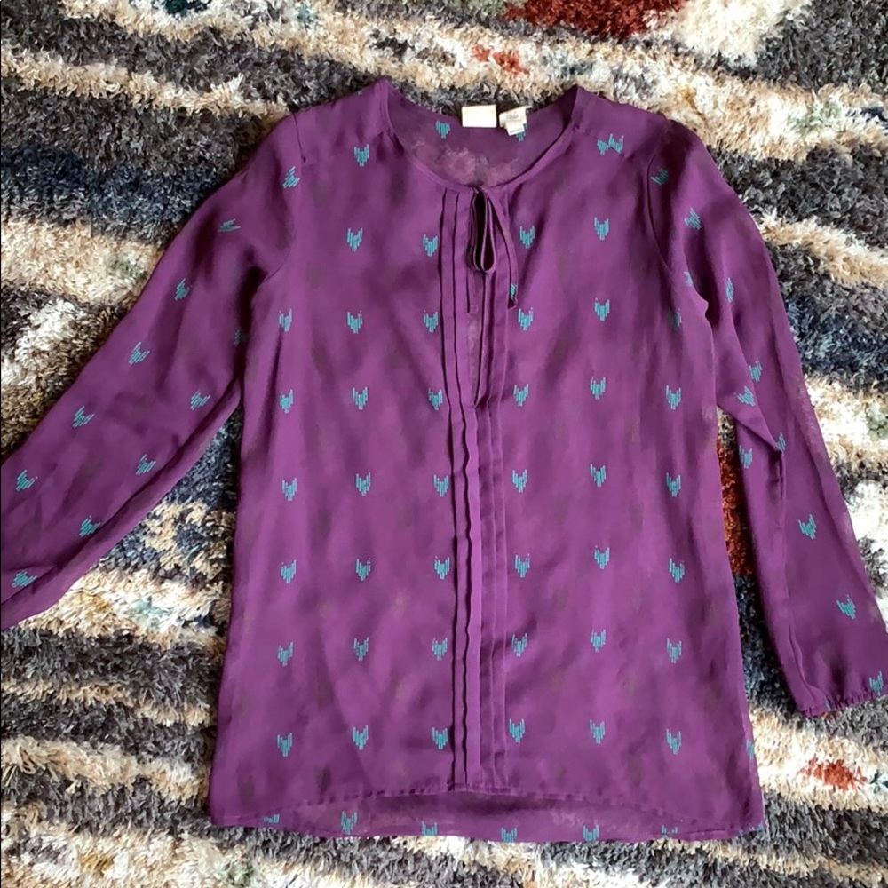 Sheer Long Sleeve Blouse